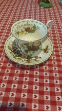 Tasse et Soucoupe a thé Porcelaine Royal Albert Flower of the Month Décembre 
