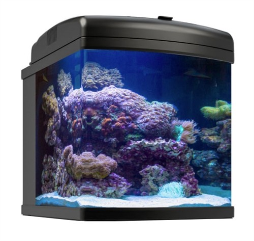 Jbj 24g nano - cube, all-in-one