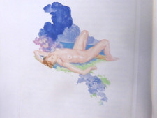 CURIOSA Vrilles de la Vigne