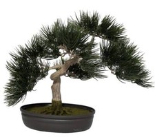 Bonsai artificiel angel pinus - bonsai,