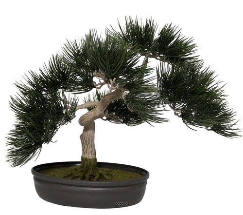 Bonsai artificiel angel - bonsai,
