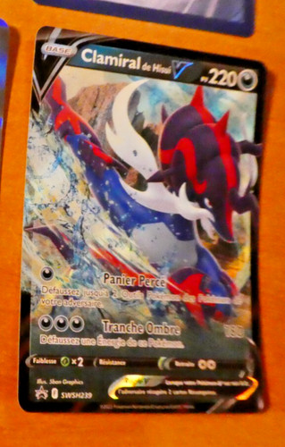 Pokemon francaise card - francaise,
