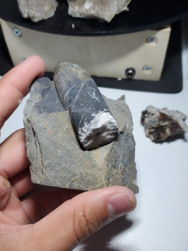 2alpes lot fossile quartz - :,