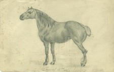 Jean Richard GOUBIE (1842-1899) - Jument de trait anglaise