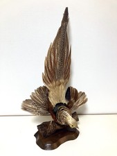 farce, véritable oiseau