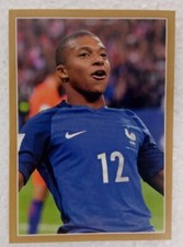 Vignette Panini Carrefour 2018