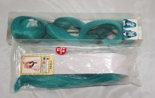 DD Hatsune Miku Wig & Dream