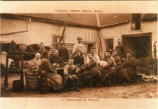 CPM Reims - Coll. CHAMPAGNE