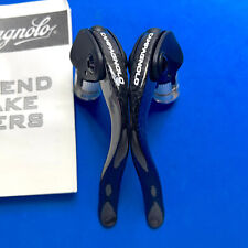 Campagnolo Record Bar End Leve Frein Chrono TT Carbone Levers Contre La Montre