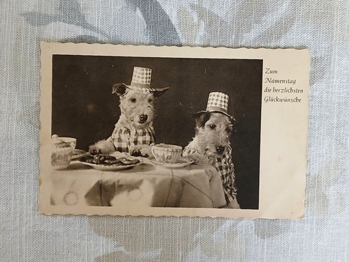 Carte postale ancienne photo - carte,