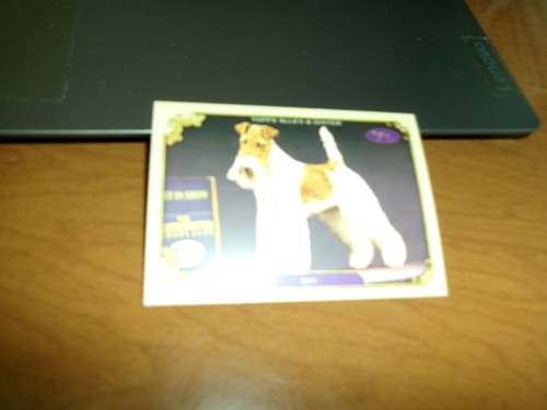 2024 topps allen ginters - 2024, &