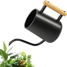 Arrosoir Petit 1L - Arrosoir pour Plantes Dintérieur avec Long Bec et Poignée