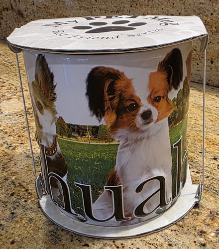2008 americaware chihuahua - 2008, my