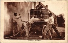 CPA Vendange en Bourgogne