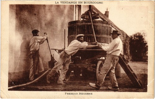 Cpa vendange bourgogne - cpa,