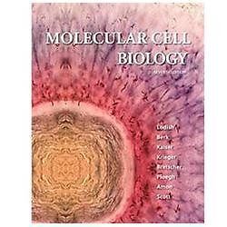 Molecular cell biology 7th - cell,