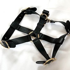 Harnais pour chien Gucci en