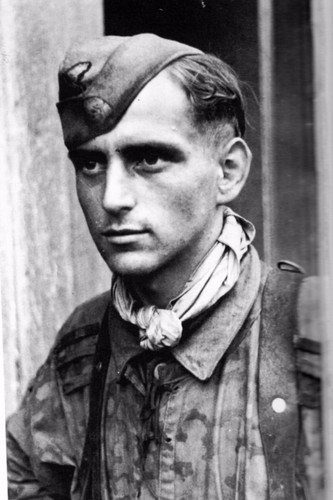 Ww2 panzer grenadier - ww2, en