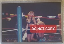 Tammy Lynn Sytch aka Sunny Bodydonnas Candid 4x6 Photo Original WWF ECW WWE RARE
