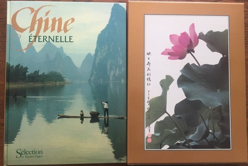Manly chin chine eternelle - manly,