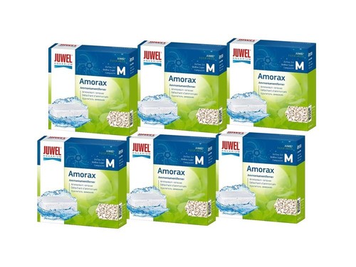 Juwel amorax paquets - amorax, 6