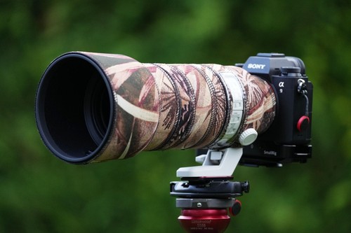 Sony 200mm g - f2.8, ii