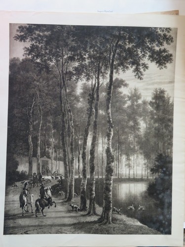 Jan hackaert - jan,