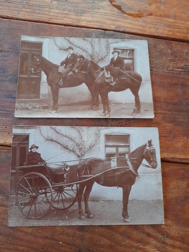 Cartes postales photos femme - postales,