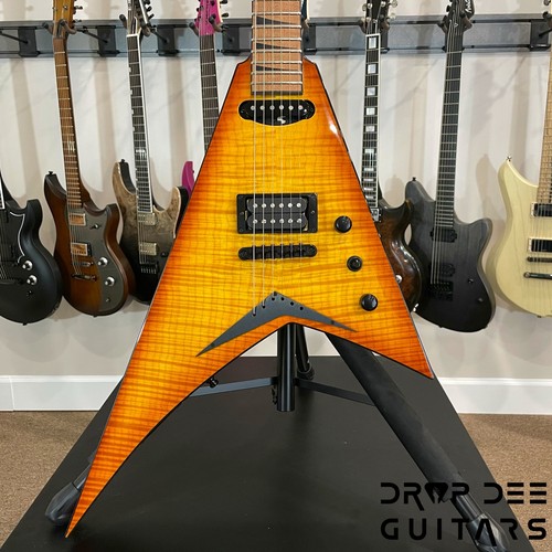 Jackson custom shop randy - jackson,