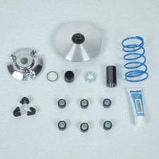 Kit Variateur Polini pour scooter Suzuki 125 Burgman 2001 à 2020 241.686 Neuf