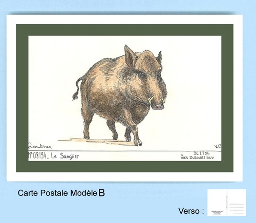08194 carte postale - b,