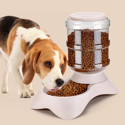 Gamelles pour chats - pour,