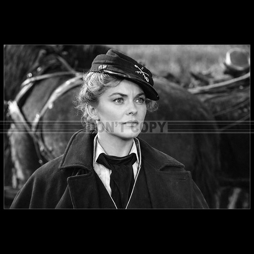 Photo 033337 joanne dru - photo, (she