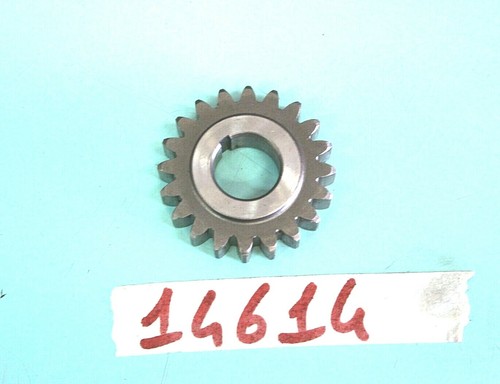 Engrenage arbre moteur aprilia - engrenage,