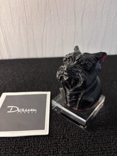 Tête chien yorkshire en - tête,