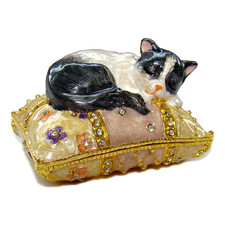 Chat sur coussin boite à