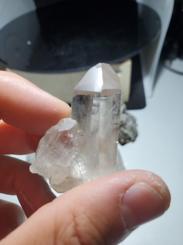 2alpes lot fossil quartz - fossil, +