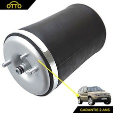 Amortisseur pneumatique