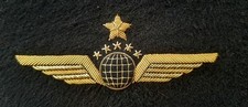 Insigne Brevet pilote wing