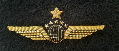 Insigne brevet pilote wing - brevet,