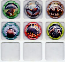 Capsules de champagne  Générique série Chasse Nouveauté Avril 2025