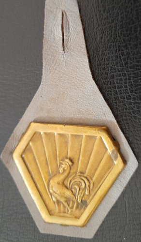 Insigne infanterie artillerie - infanterie,