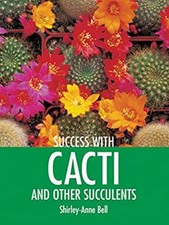 Success Avec Cactus et Autres