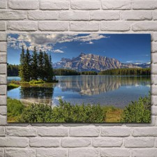 toile tableaux parc nature paysage Alberta canada   50X85 cm  
