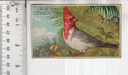 Simmons corner store - simmons,