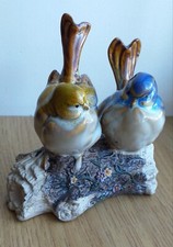 Couple d'oiseaux sur une