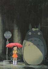 Mon Voisin TOTORO Miyazaki