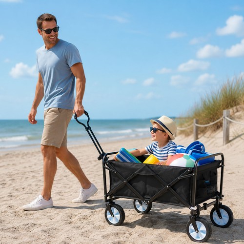 Chariot transport pliable - chariot,