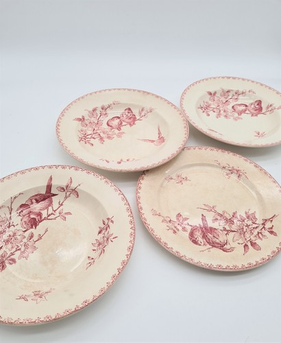 Assiettes décor favori - décor, de