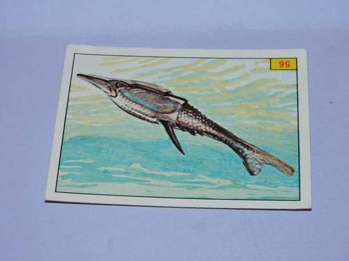 Image panini animaux - panini,
